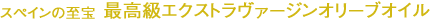 �X�y�C���̎���@�ō����G�N�X�g�����@�[�W���I���[�u�I�C��